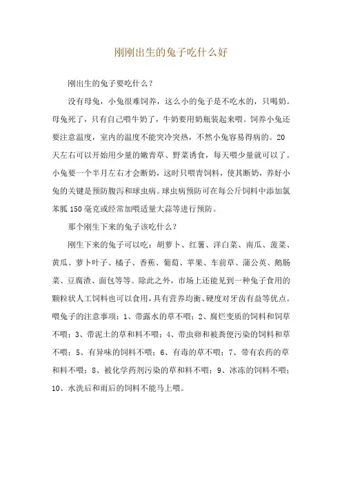 刚刚出生的兔子吃什么好
