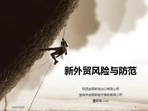 外贸风险防范PPT课件