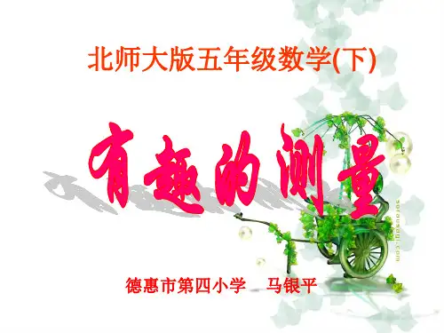 《有趣的测量》PPT课件