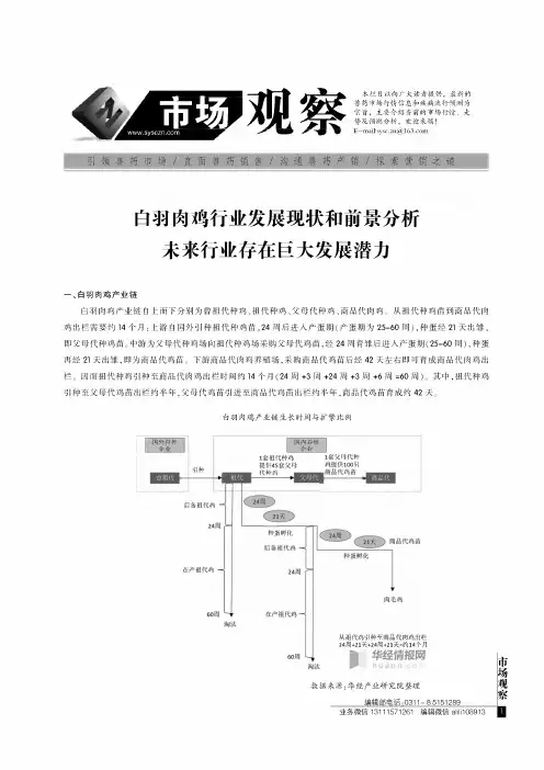 白羽肉鸡行业发展现状和前景分析未来行业存在巨大发展潜力