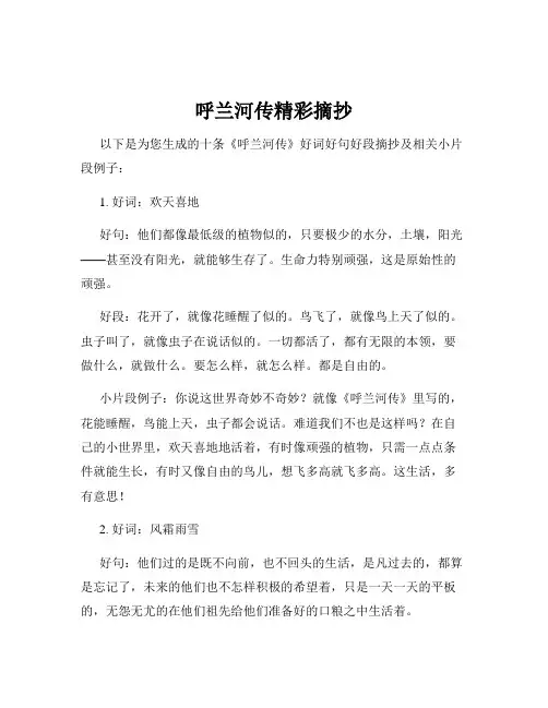 呼兰河传精彩摘抄