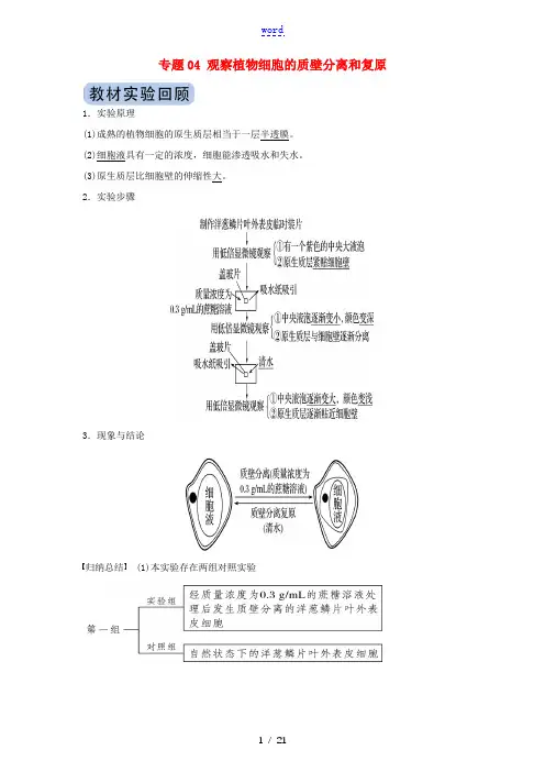 高考生物实验突破 专题04 观察植物细胞的质壁分离和复原(含解析)-人教版高三全册生物试题