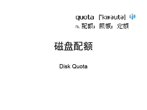 第9章 磁盘配额51页PPT