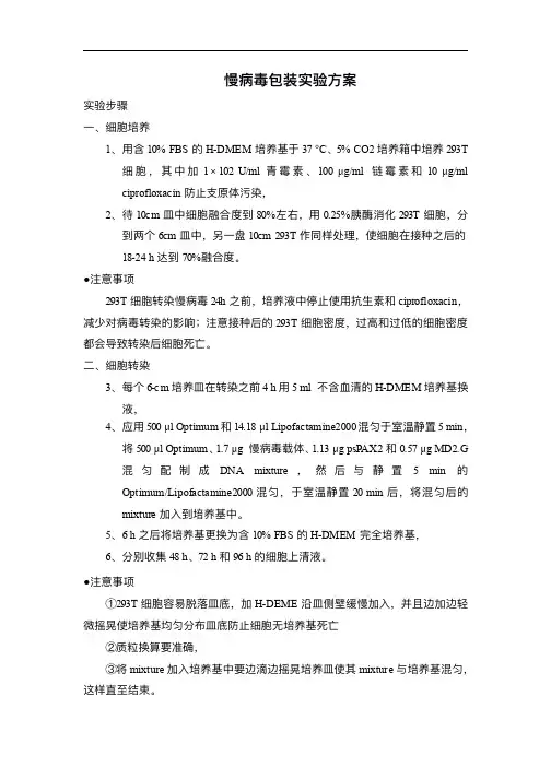 293T细胞中包装慢病毒实验方案