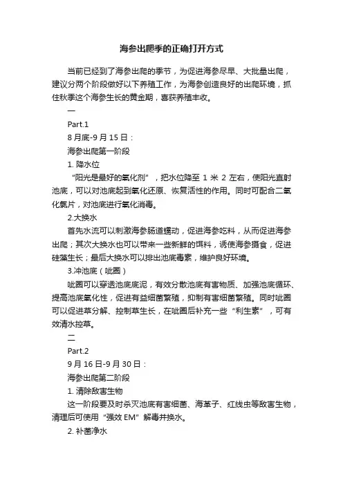 海参出爬季的正确打开方式