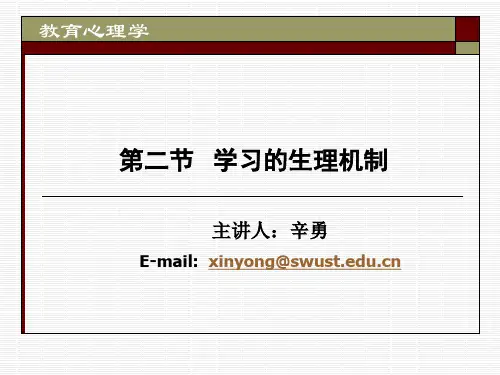 学习的生理机制