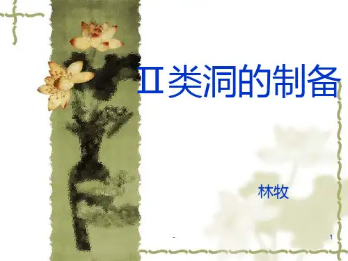二类洞的制备PPT课件