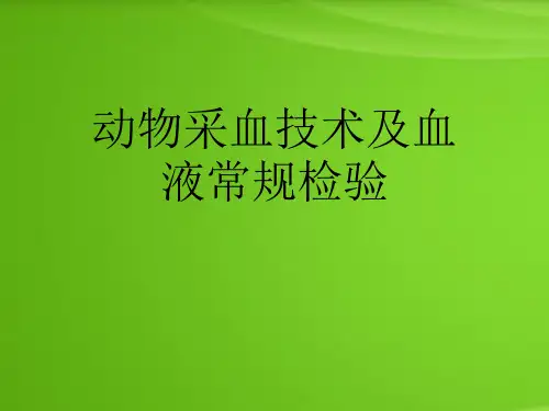 动物采血技术及血液常规检验
