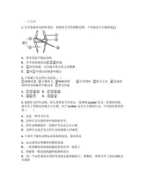 人教版生物 八年级上册 第二章 动物的运动和行为 课后练习题