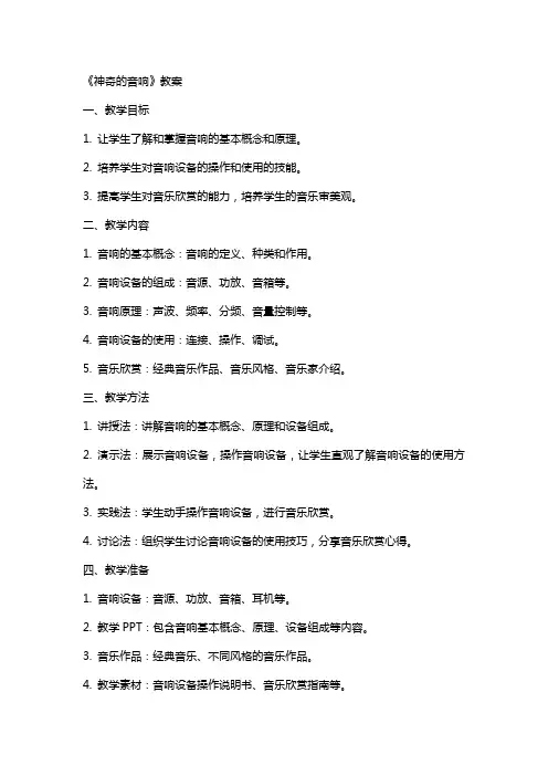 《神奇的音响》教案