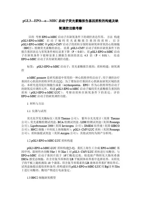 pGL3—EPO—α—MHC启动子荧光素酶报告基因质粒的构建及缺氧调控功能考察