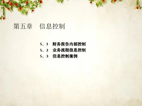 财务报告与内部控制定义(ppt 53页)