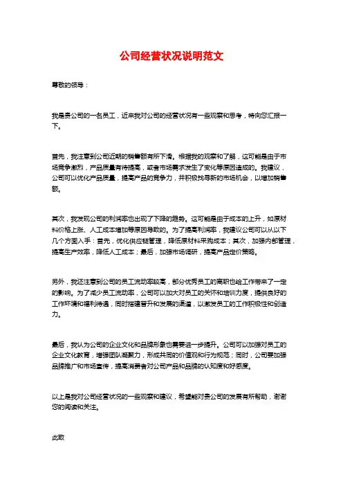 公司经营状况说明范文