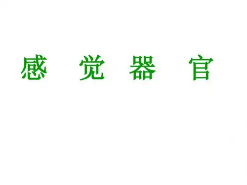 爱爱医资源-视器 人体解剖学课件