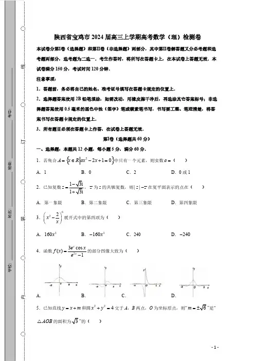 陕西省宝鸡市2024届高三上学期高考数学(理)检测卷(有答案)
