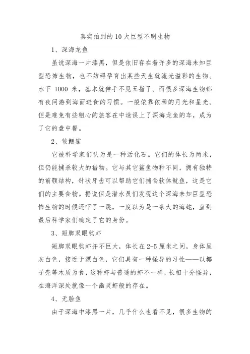 真实拍到的10大巨型不明生物
