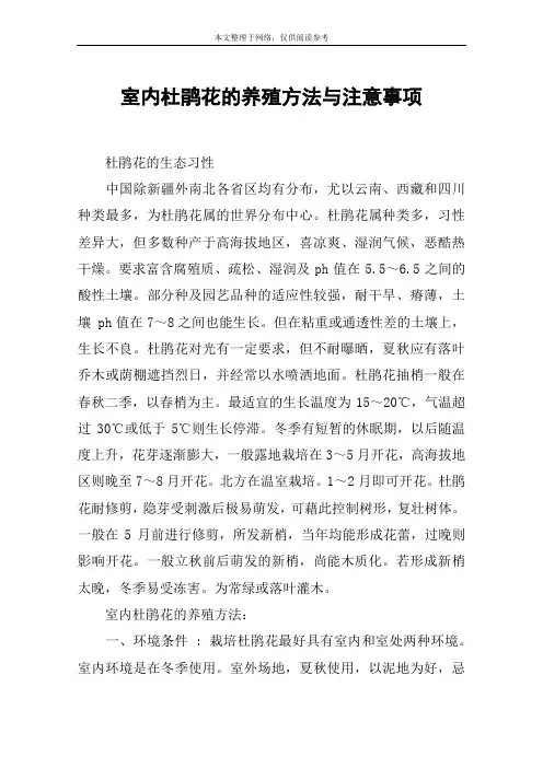 室内杜鹃花的养殖方法与注意事项