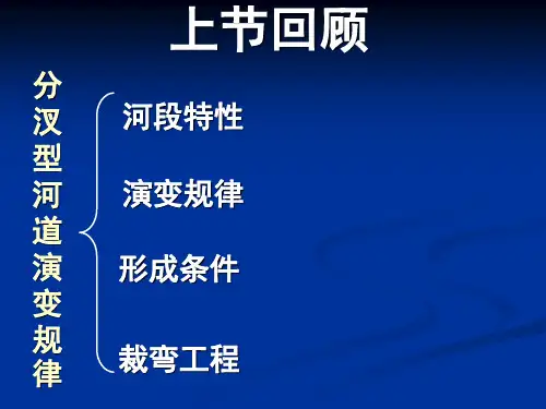 博导第8讲游荡型河道的演变规律