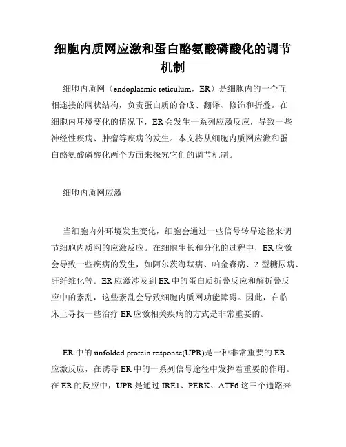 细胞内质网应激和蛋白酪氨酸磷酸化的调节机制