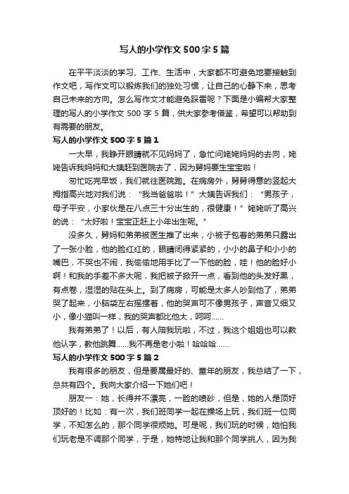 写人的小学作文500字5篇