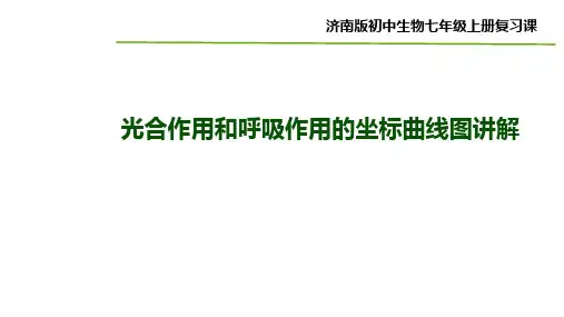光合作用和呼吸作用的坐标曲线图讲解