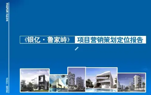 舟山银亿鲁家峙项目营销策划定位报告