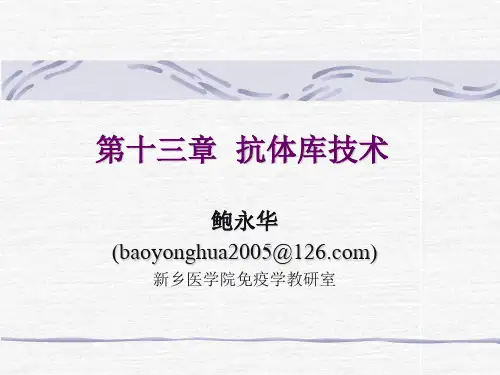 抗体库技术