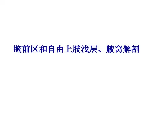 胸前区和自由上肢浅层、腋窝解剖(人体解剖学)