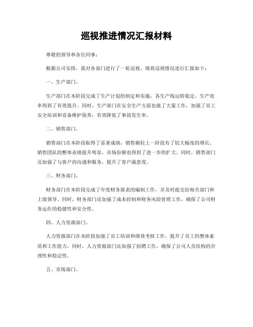 巡视推进情况汇报材料