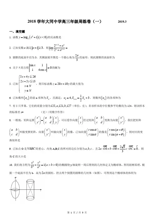 上海市大同中学2018-2019学年高三下数学周练习试题(一)(简答)