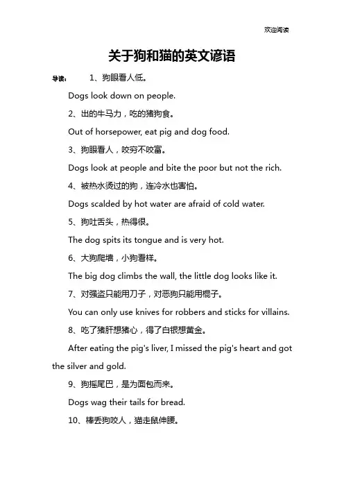 关于狗和猫的英文谚语