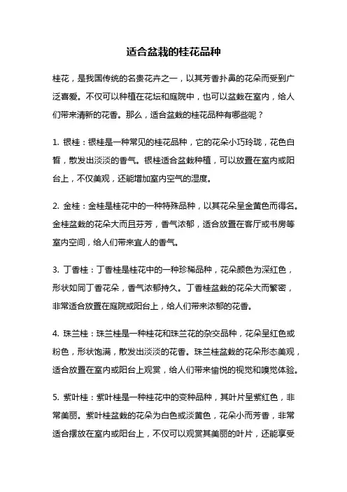 适合盆栽的桂花品种