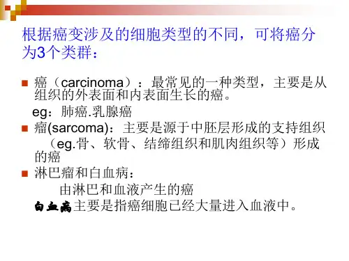 癌细胞CancercellPPT课件