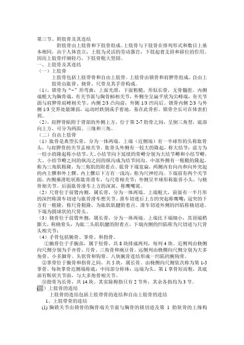 运动解剖学