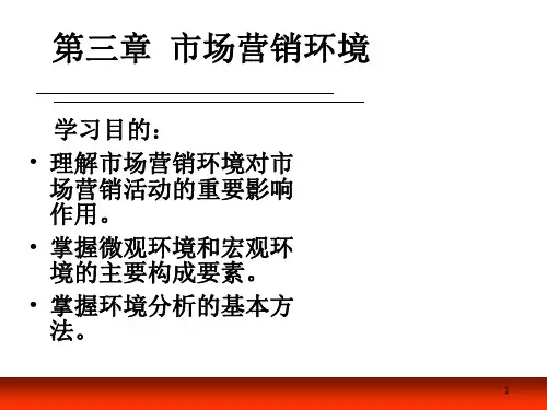 第三章 市场营销之市场营销环境PPT教学课件