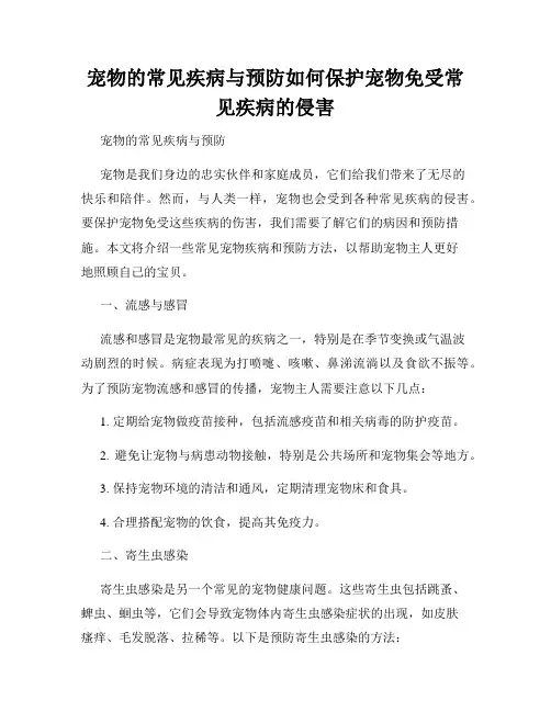 宠物的常见疾病与预防如何保护宠物免受常见疾病的侵害