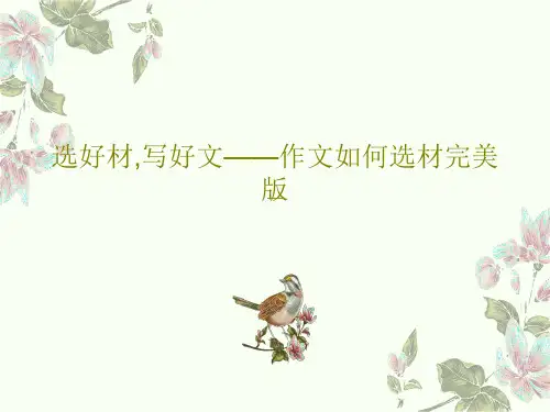 选好材,写好文——作文如何选材完美版22页PPT
