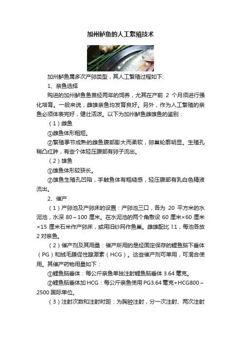 加州鲈鱼的人工繁殖技术