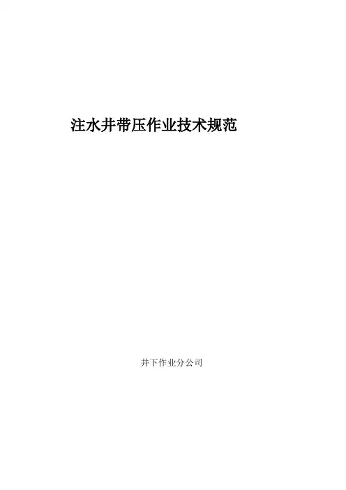 注水井带压作业技术规范