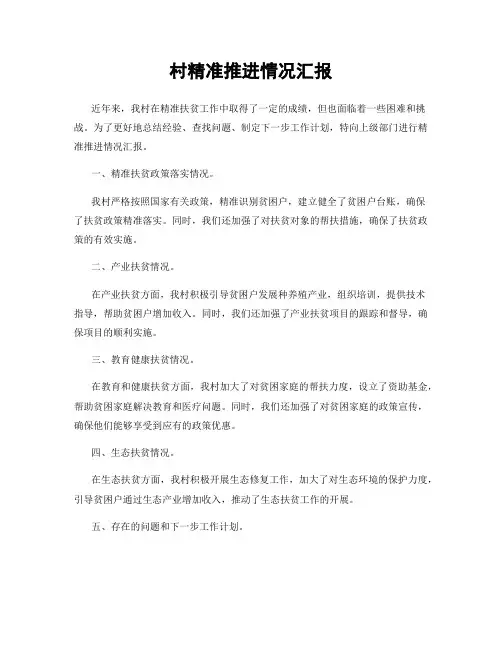 村精准推进情况汇报