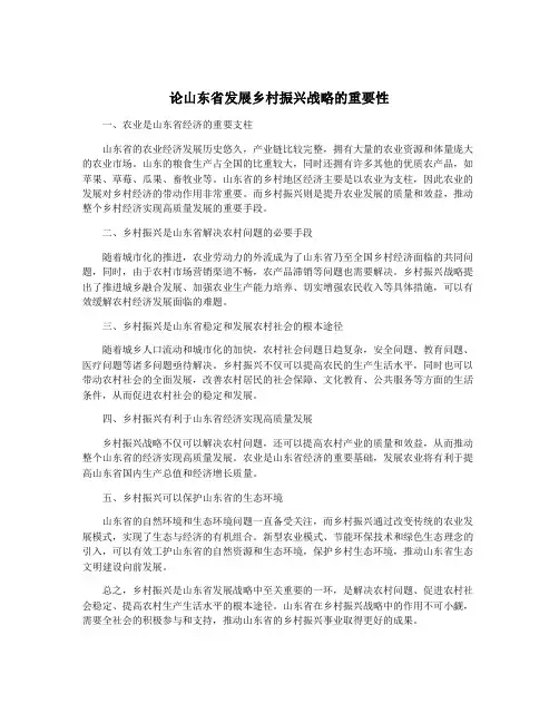 论山东省发展乡村振兴战略的重要性