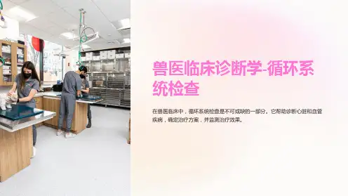 兽医临床诊断学-循环系统检查