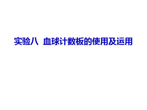 实验八  血球计数板的使用