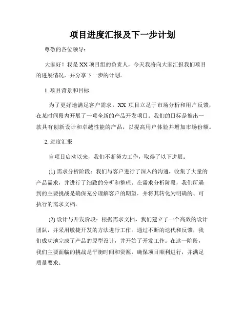 项目进度汇报及下一步计划