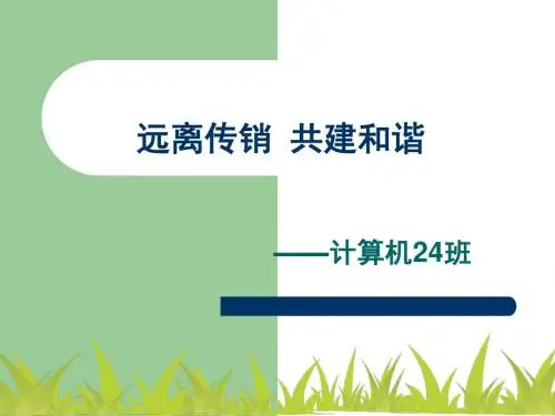 反传销主题班会-ppt