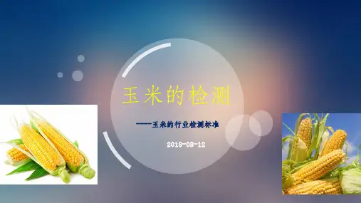 玉米的检测标准最新版本
