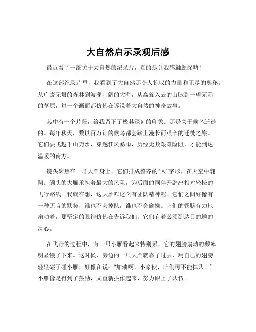 大自然启示录观后感