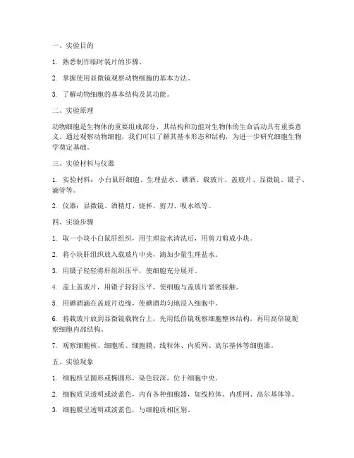 动物细胞观察实验报告