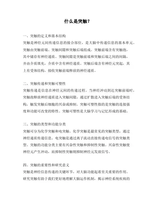 什么是突触？