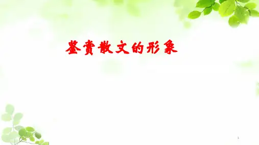 鉴赏散文的形象(公开课版)ppt课件